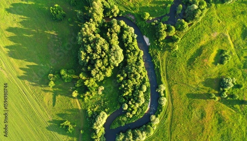 Aerial view of a winding river flowing through lush green fields and trees in summer