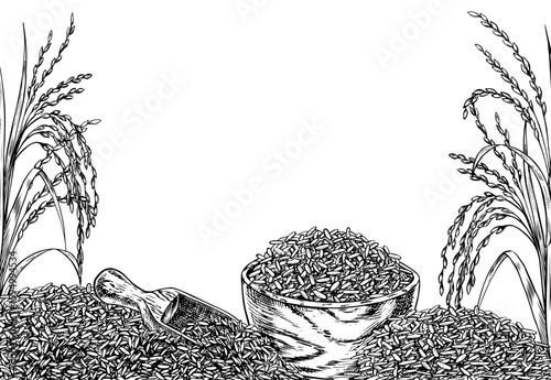 Border - frame with rice, wooden cup, spatula, and rice grains. Black and white vector illustration. Design element for menus, recipes, cookbooks, banners, flyers, packaging, labels, and more.