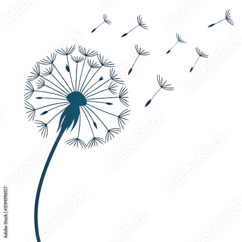 Floating dandelion seed with single puff, isolated on a clean background for nature or freedom.
