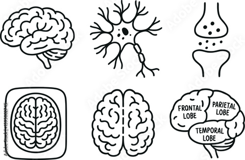hand drawn cute doodle style isolated brain cortex model brain neuron network brain synapse diagram brain MRI scan brain hemisphere map brain lobes chart