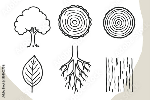 hand drawn cute doodle style isolated tree canopy layer tree trunk cross section tree ring pattern tree leaf venation tree root system tree bark texture