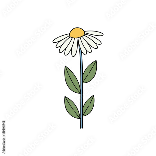 Minimal Daisy Flower Clean Modern Design