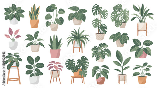 A collection of 20 hand-drawn houseplants arranged in a grid layout against a white background. .