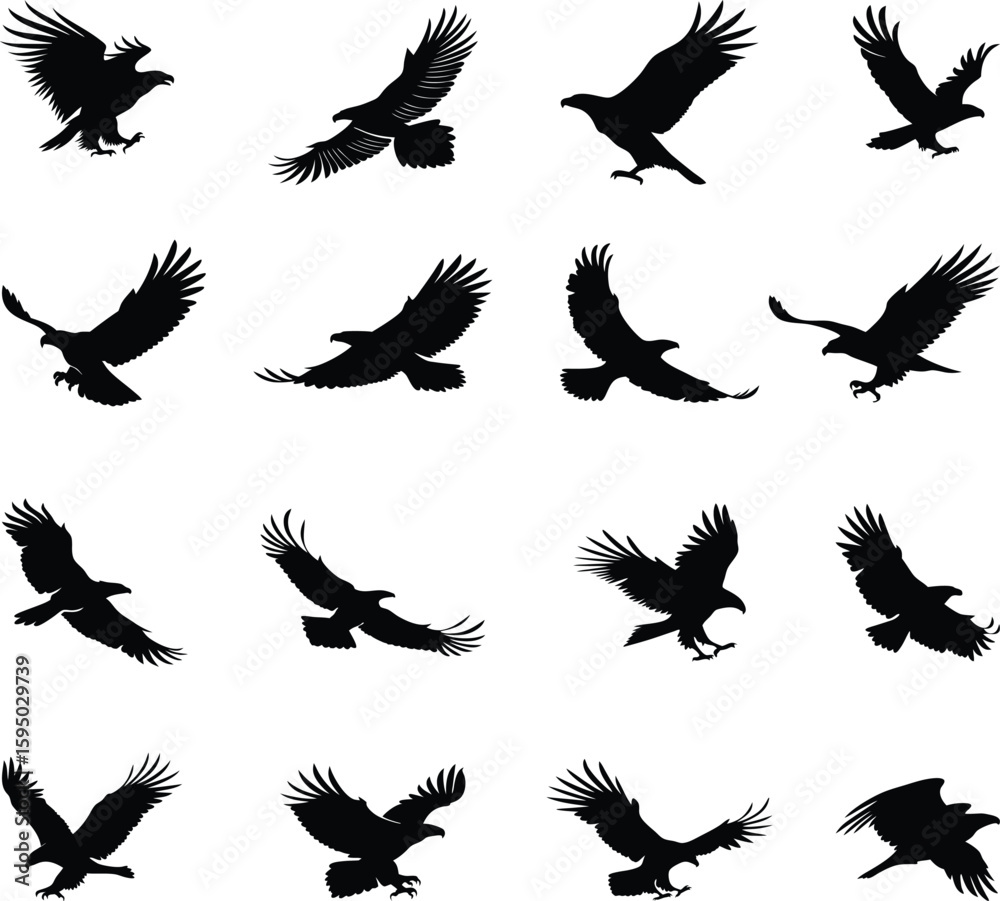 Obraz premium Black Eagles Silhouette Vector Set for Print and Logo Use