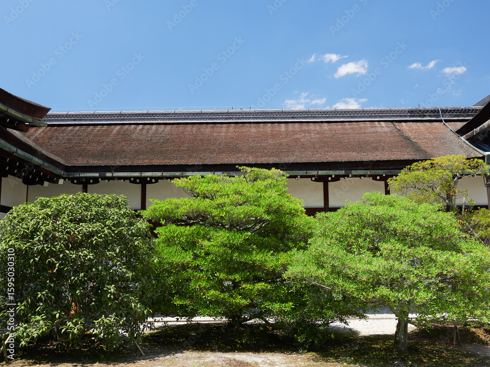 Fototapeta premium 観光名所京都御所の庭園の風景