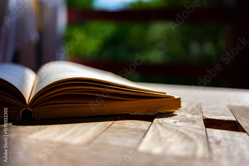 Aged, weathered orange book pages on opened book, shallow depth of field , space for text.