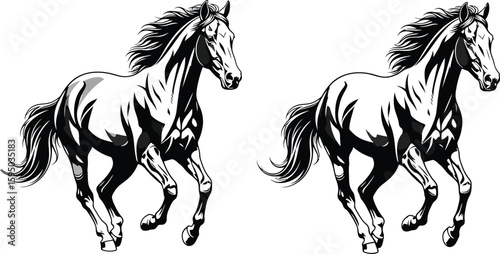 Two horses running side by side in black and white illustration on a white background design style