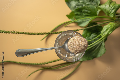 Exploring the versatility of psyllium husk powder on a minimalist background for health-minded enthusiasts