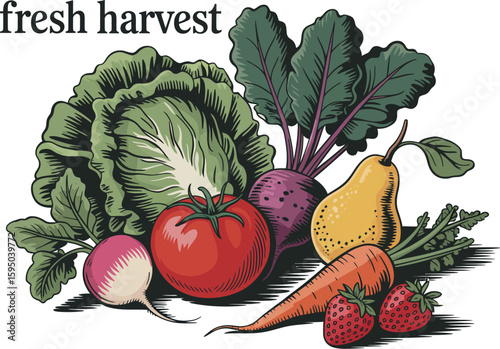 Illustration of a fresh harvest with various vegetables fruits and a cabbage on a light background