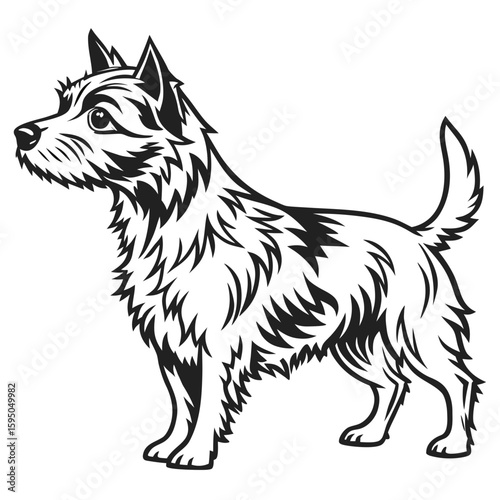 A small terrier dog stands alertly in profile