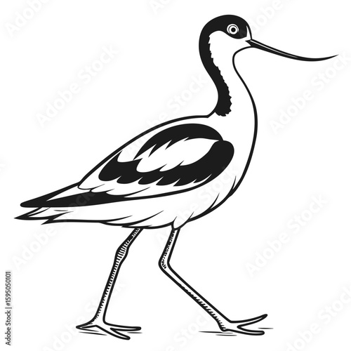 An avocet bird with long legs and beak, illustrated graphically