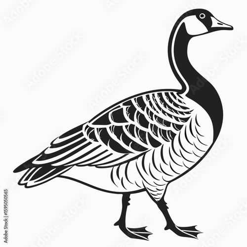 A canada goose stands with its head turned to the right