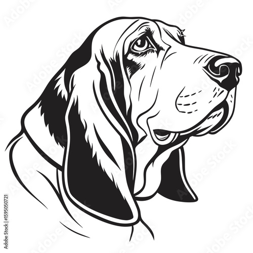 A basset hound with ornate markings stands in profile, black and white
