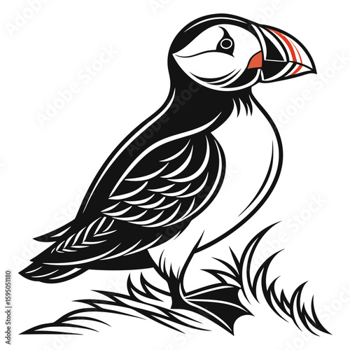 A puffin bird with a distinctive colorful beak isolated on white