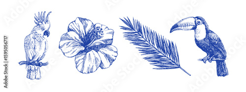 Hand drawn sketch tropical leaves and birds set. Vintage exotic plants. Vector isolated illustration on white background