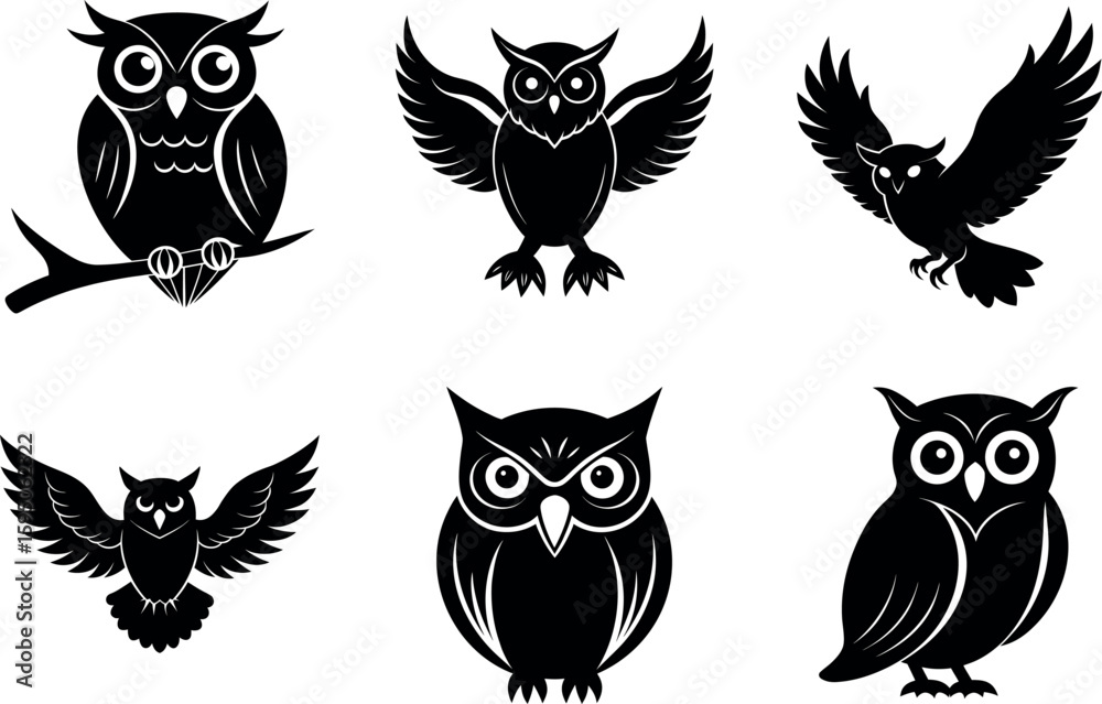 Obraz premium Collection of different owl poses black silhouette vector illustration
