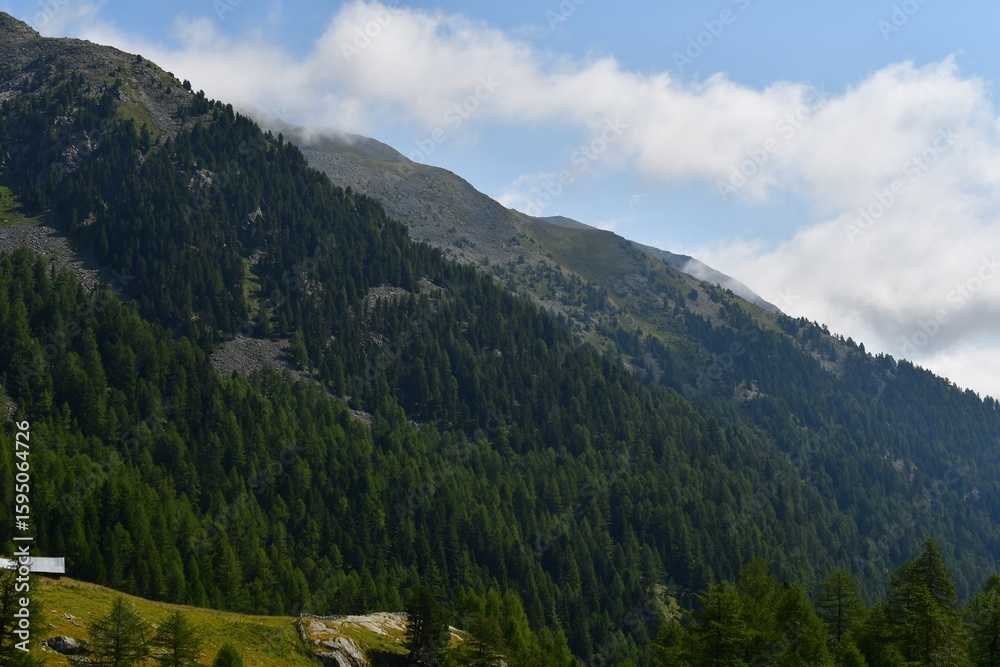 Obraz premium Schöne Landschaft im Ultental in Südtirol 