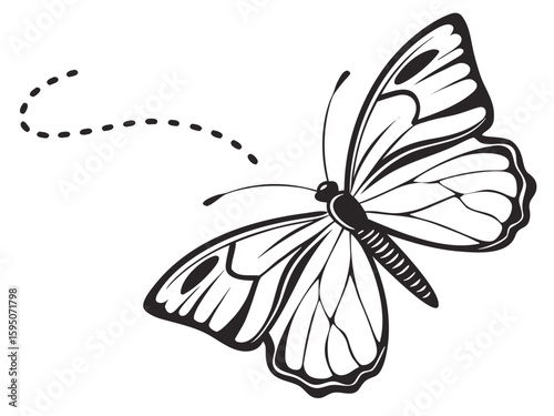 black and white butterfly