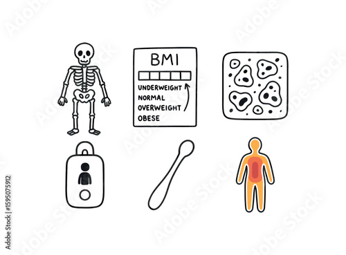 body skeleton model, body mass index chart, body tissue sample, body posture sensor, body cavity probe, body heat map