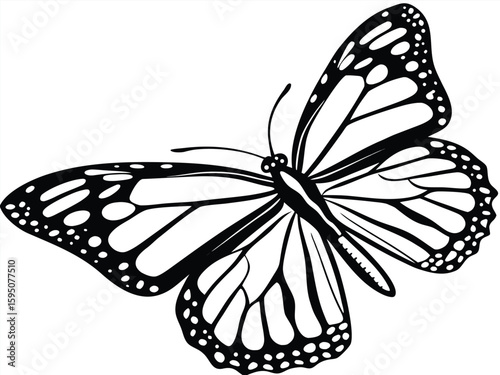 black swallowtail butterfly