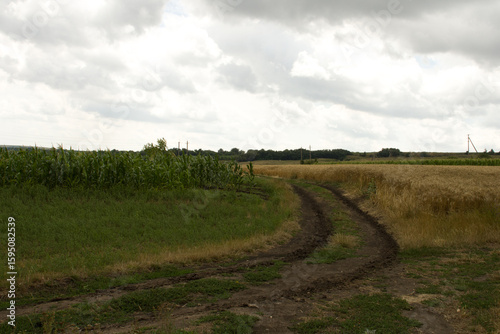 A dirt road in a field