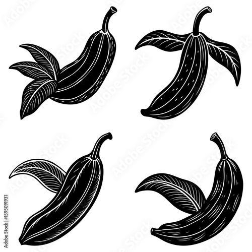 Four black and white bananas with leaves in varying states of peel on a white background design drawing