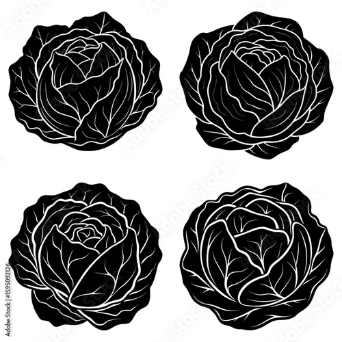 Four black and white cabbage heads with detailed leaf patterns arranged in a symmetrical square format