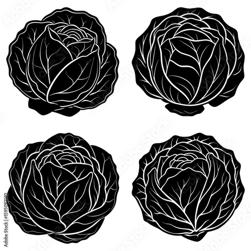 Four black and white cabbage heads with detailed leaf patterns in a symmetrical arrangement on white backdrop