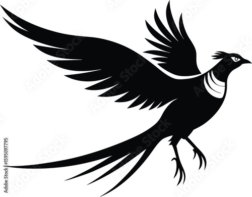 Flying pheasant silhouettes, rooster bird vector, ring-necked illustration, wildlife silhouette design