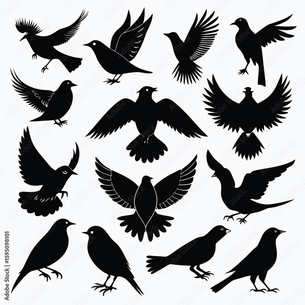 Obraz premium Collection of fourteen distinct bird silhouettes in various poses