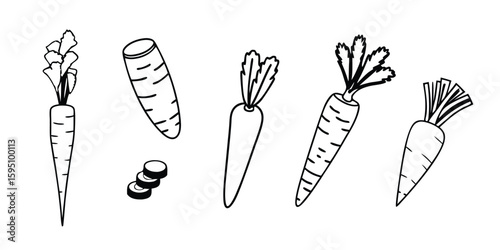 Hand Drawn Carrots Illustration Black and White Line Art on Transparent Background charming hand drawn illustration