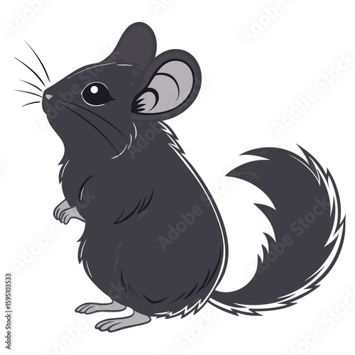 A cute cartoon chinchilla standing on a white background