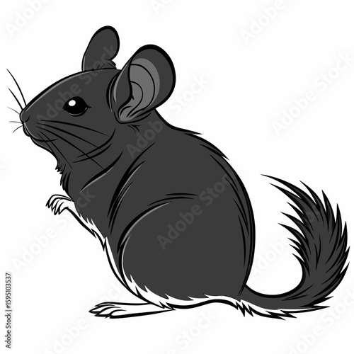 A cute cartoon chinchilla standing on a white background