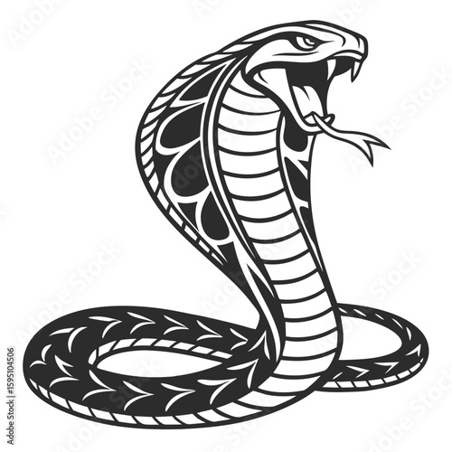 A striking cobra snake with its hood flared in a defensive posture
