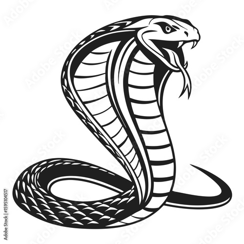 A striking cobra snake with its hood flared in a defensive posture