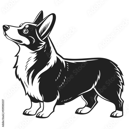 Black and white illustration of a corgi dog standing