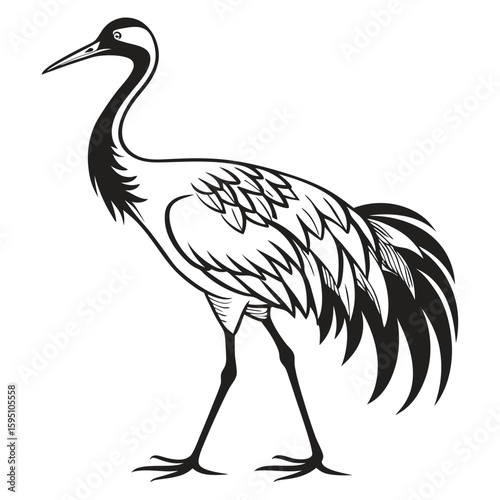 A black and white illustration of a crane standing in grass