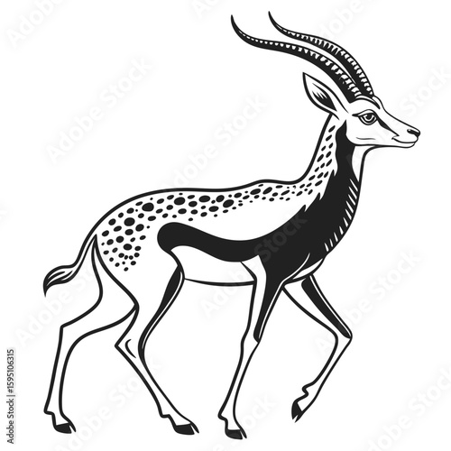 Spotted gazelle antelope walking isolated on white background
