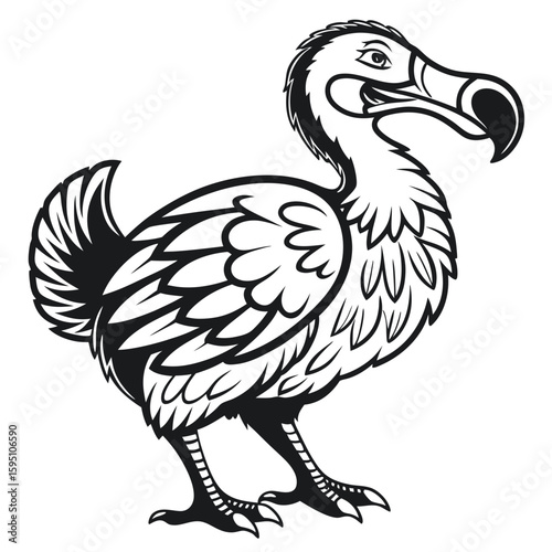 Dodo bird illustration