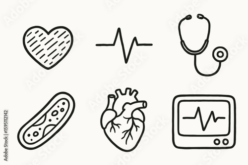 hand drawn cute doodle style isolated heart (anatomy): cardiac muscle heartbeat stethoscope artery diagram human heart ecg monitor