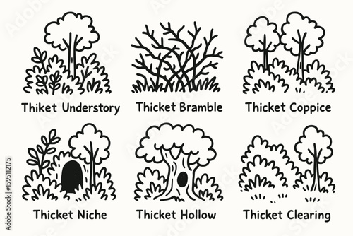 hand drawn cute doodle style isolated thicket understory thicket bramble thicket coppice thicket niche thicket hollow thicket clearing