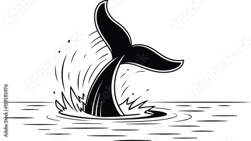 Whale Tail Breaching Water Black and White Illustration