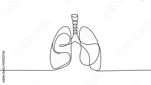 Human lungs and trachea one line drawing minimalist vector illustration