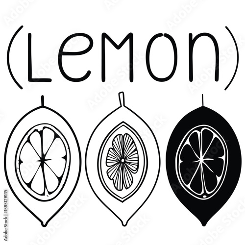 Hand Drawn Lemon Slices with Lettering Black and White Illustration on Transparent Background This image
