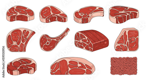 Collection of delicious raw meat cuts ready for grilling and cooking fresh beef variety