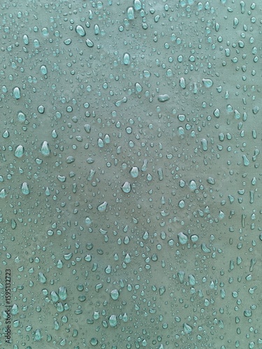 Wallpaper Mural Water Droplets on Waterproof Fabric Texture Torontodigital.ca