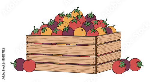 A wooden crate brimming with a bountiful harvest of ripe colorful tomatoes ready for picking and enjoying