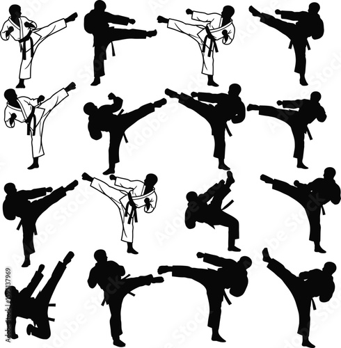 Vector art of silhouettes of karate practitioners in various kicking poses isolated on white background