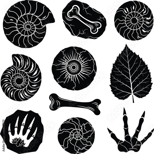 Vector art of fossils and prehistoric remains isolated on white background in silhouette