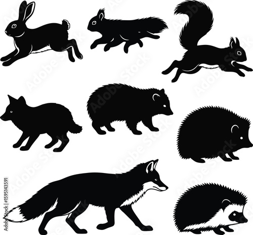 Vector art of silhouettes of forest animals are isolated on white background